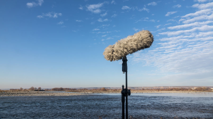 You are currently viewing The Science of Microphone Windscreens